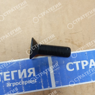 TRL84953 Болт M16х60 10,9 | Аналог