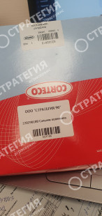 12029818B Сальник коленвала