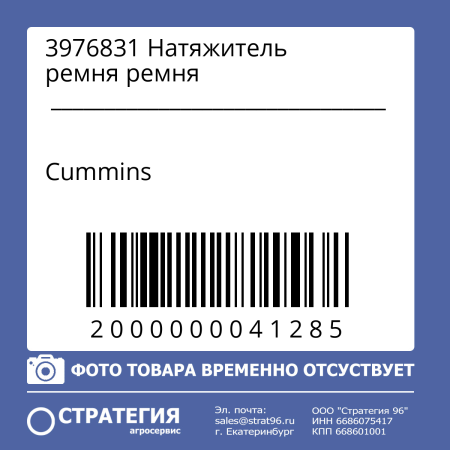 3976831 Натяжитель ремня