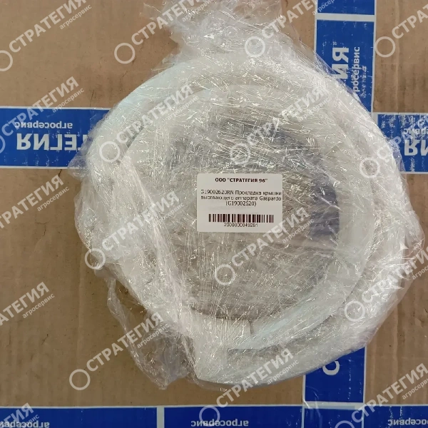 G19002620RN Прокладка крышки высевающего аппарата Gaspardo (G19002620) | Аналог
