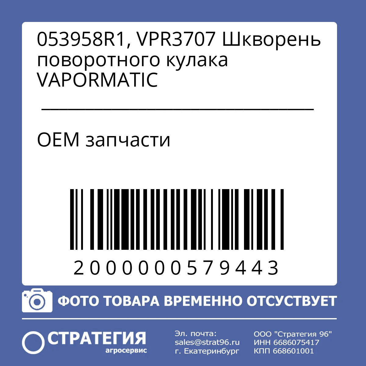 053958R1, VPR3707 Шкворень поворотного кулака VAPORMATIC