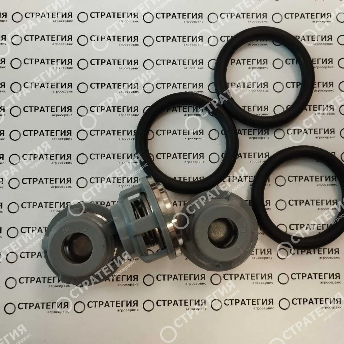 ZF1337 Клапан в сборе BP-60-281 12200046 (опрыскиватель AMAZONE) | OEM
