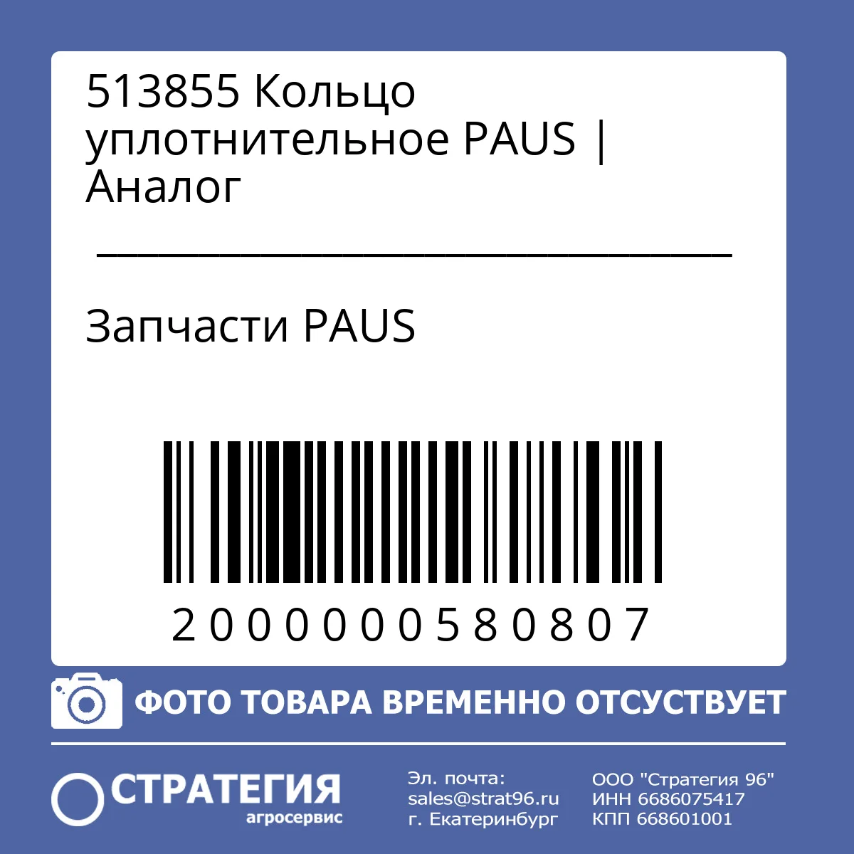513855 Кольцо уплотнительное PAUS | Аналог