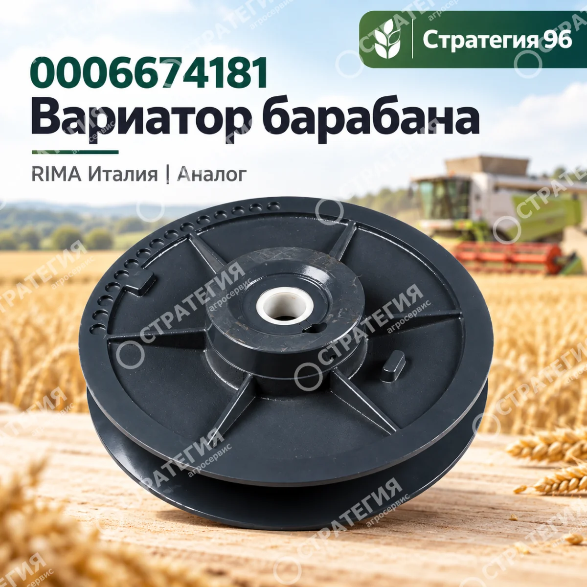 0006674181 Вариатор барабана RIMA Италия | Аналог
