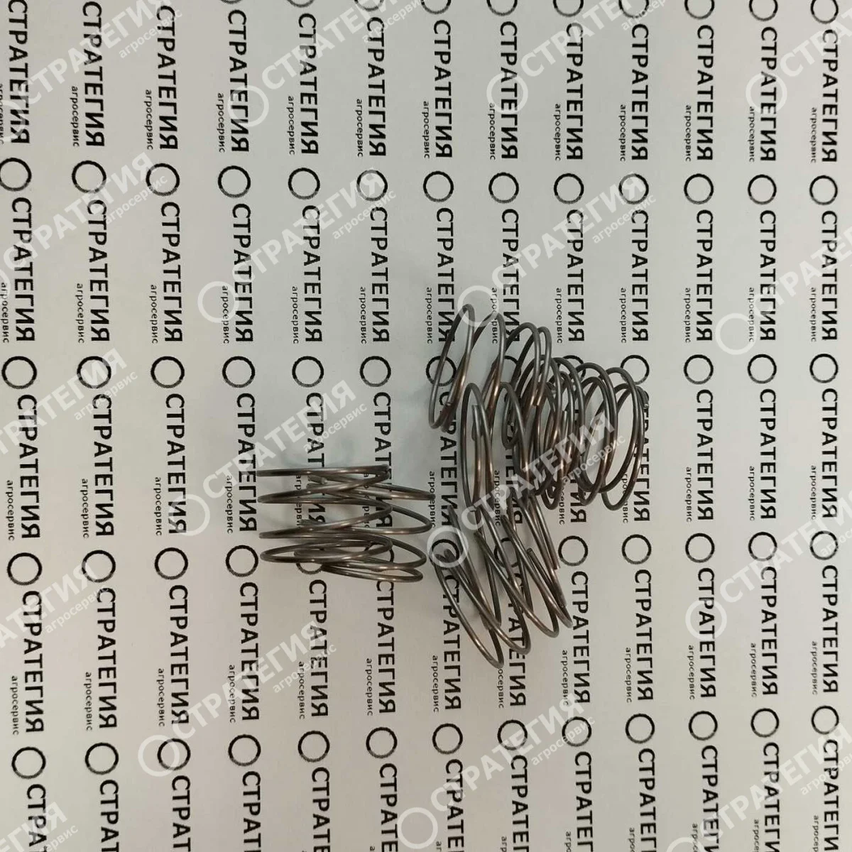 ZF1340 Пружина