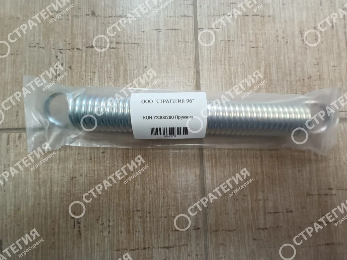 Z3000280 Пружина