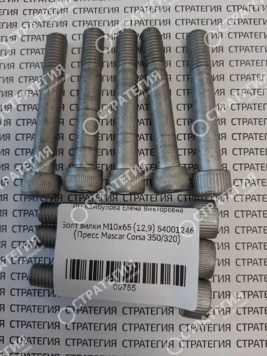 Болт TCEI M10Х65 12.9 (UNI5931) 54001246