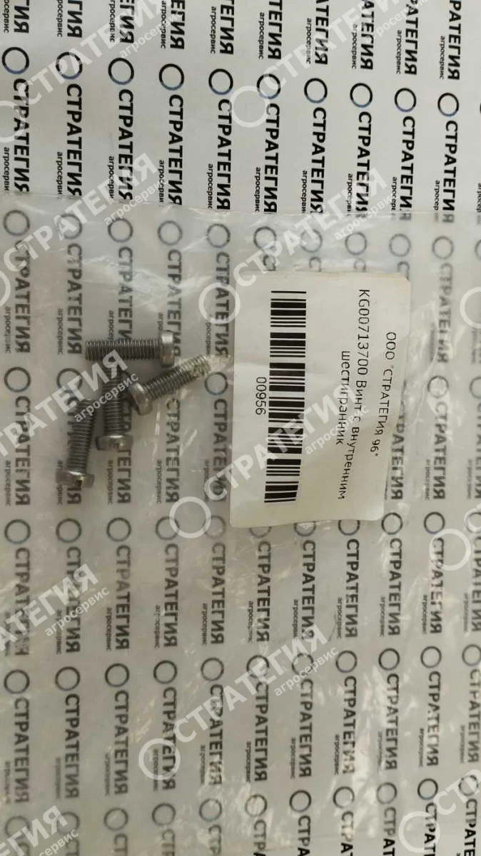 KG00713700 Винт с внутренним шестигранник
