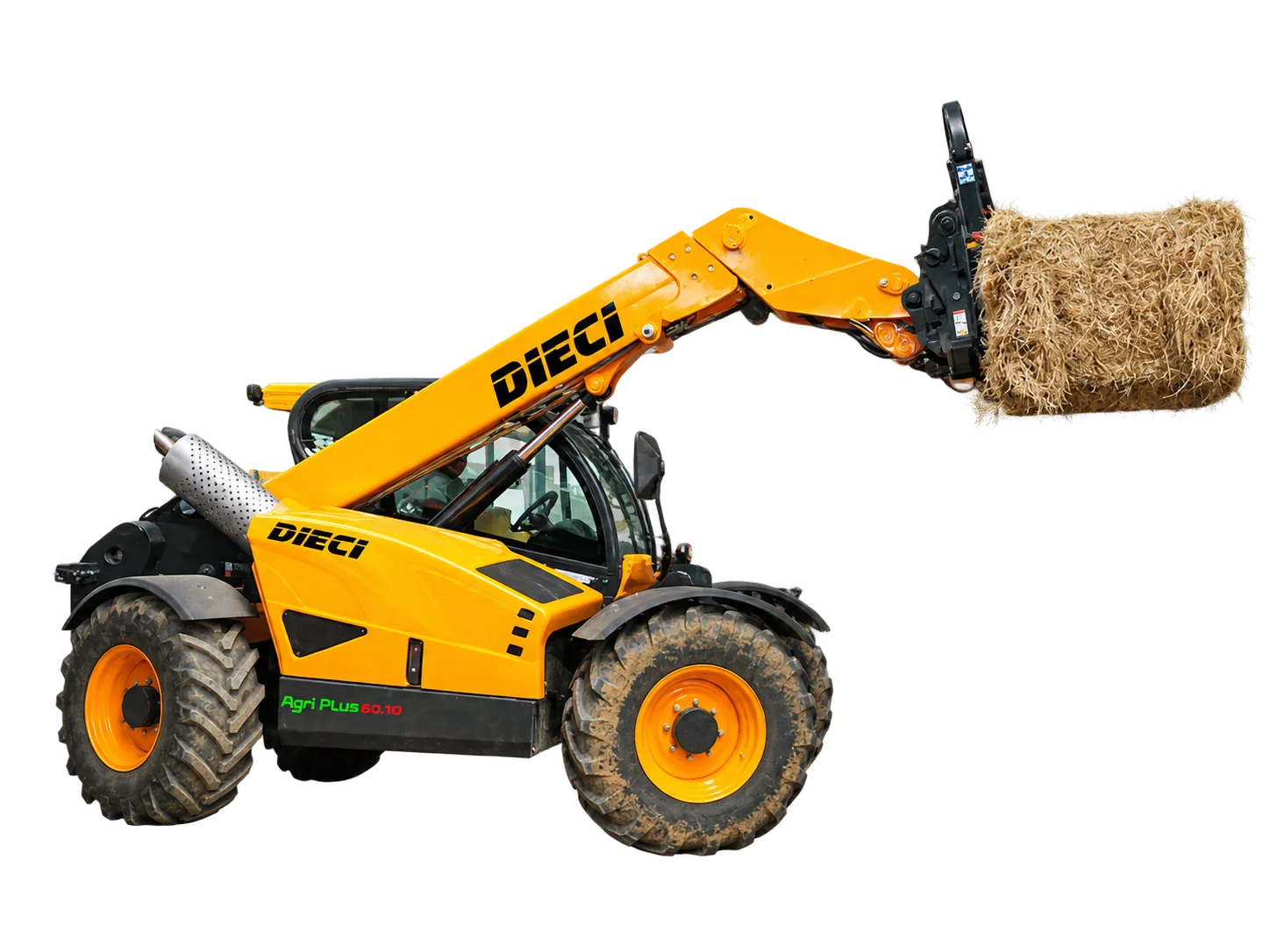 Dieci